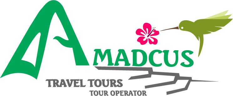 Amadcus Travel